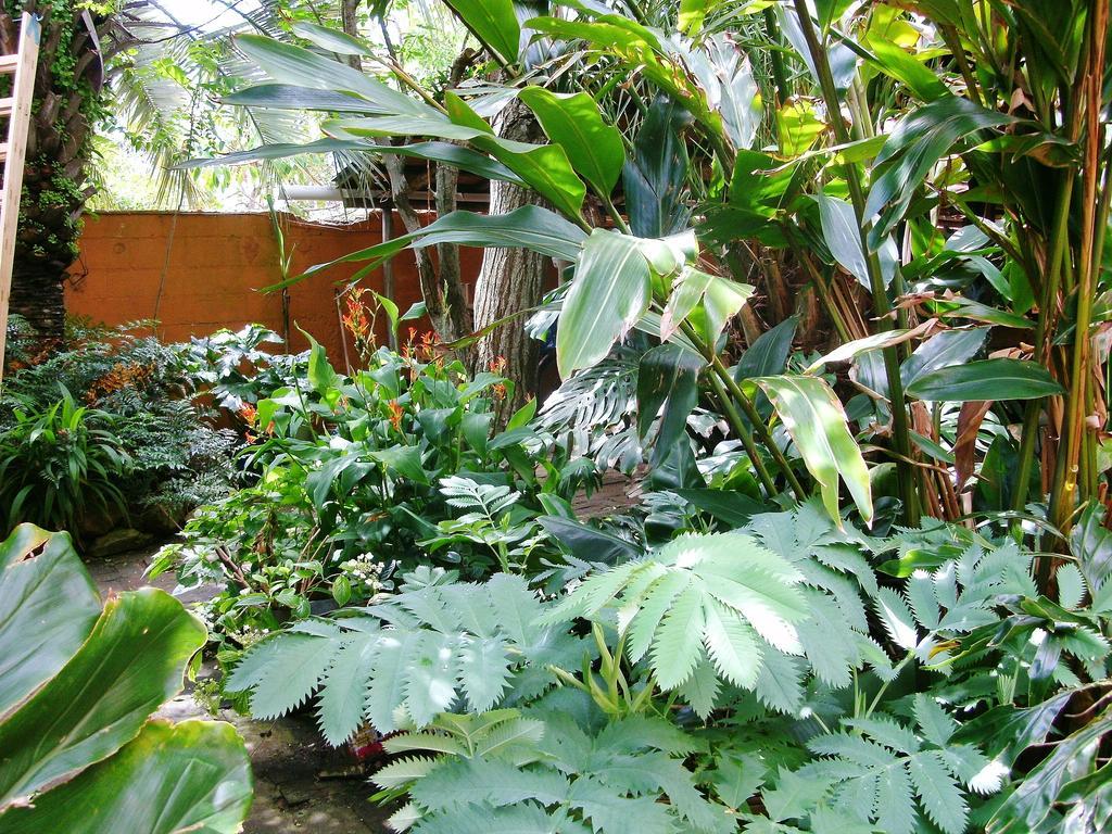 Hostel La Cruz Del Sur 拉帕洛马 外观 照片