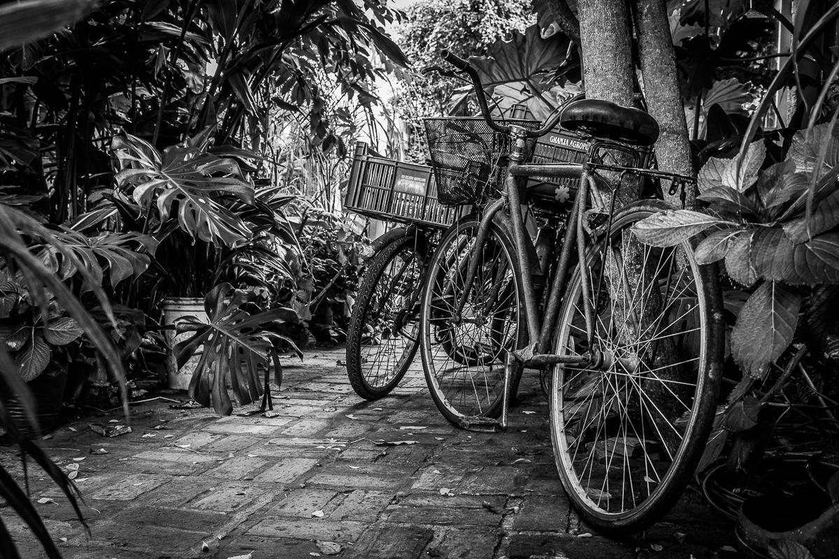 Hostel La Cruz Del Sur 拉帕洛马 外观 照片