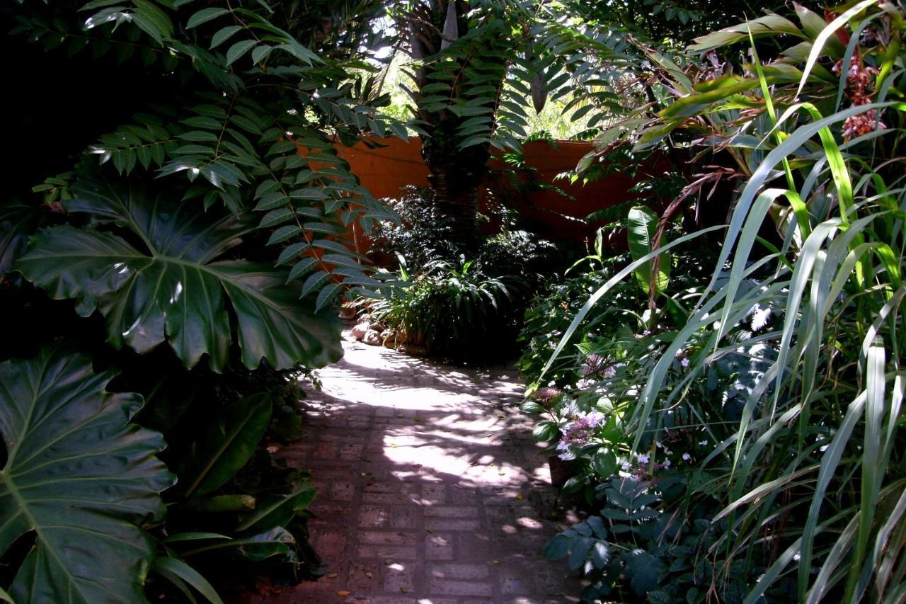 Hostel La Cruz Del Sur 拉帕洛马 外观 照片